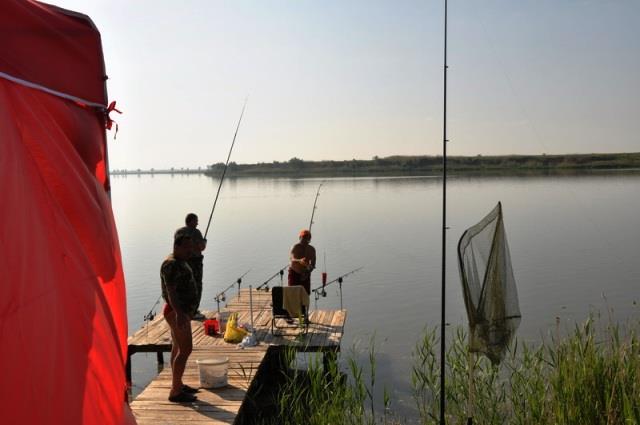 Doar ... NATURA - 4 - cnpc20-20ii20109resize1.jpg